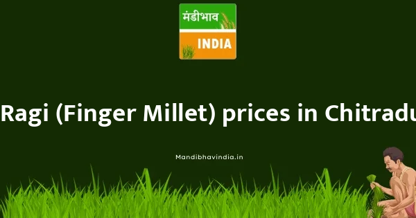 Ragi (Finger Millet) price